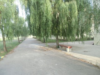 CIMG0844.JPG