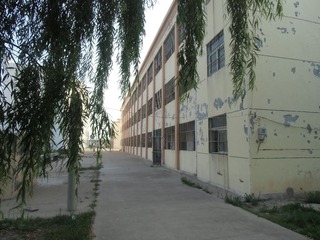 CIMG0847.JPG