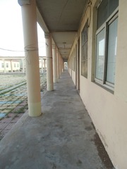 CIMG0849.JPG