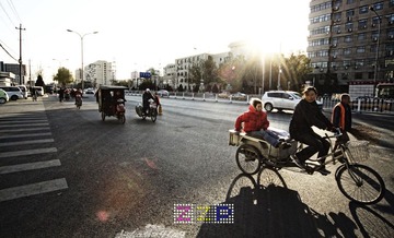 IMG_8213.jpg