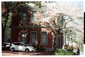 Scan-100410-00190