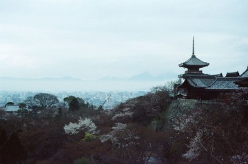 Scan-100411-00680