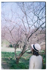 Scan-110320-00310