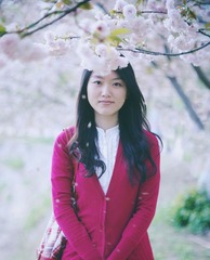 DSC006741樱花瓣