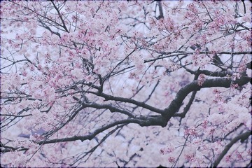 IMG_12622.jpg