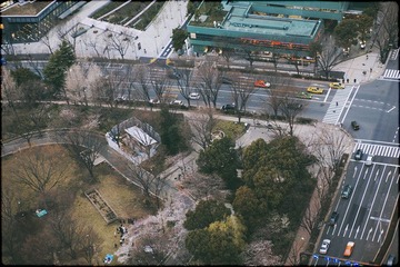 IMG_13412.jpg