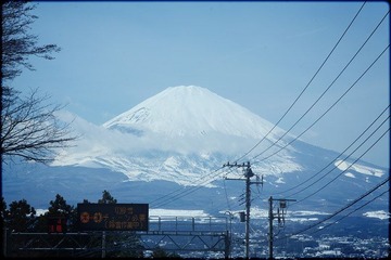 IMG_21662.jpg