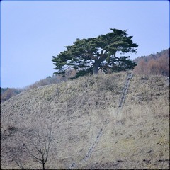 IMG_25002.jpg