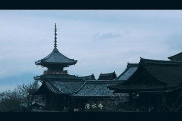 IMG_28612.jpg