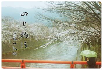 IMGP54652.jpg