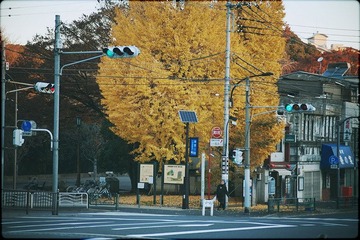 IMG_56112.jpg