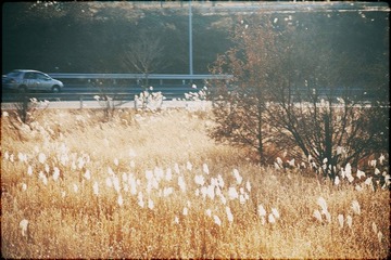 IMG_60032.jpg
