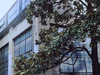 MMFC00202.jpg