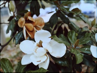 120523-00072.jpg