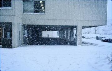 IMG_91972.jpg
