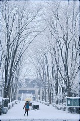 IMG_92162.jpg