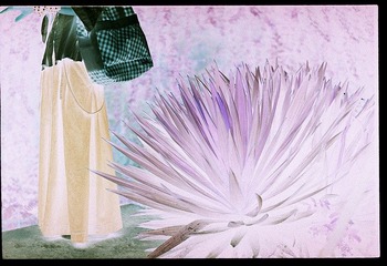 Scan-110919-00102.jpg