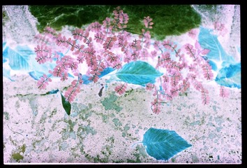 Scan-110919-00522.jpg