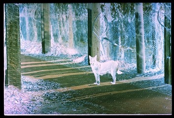 Scan-120127-00282.jpg