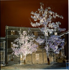 Scan-120203-00232.jpg