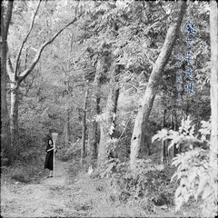 Scan-101026-00242.jpg
