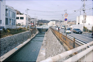 IMG_87262.jpg