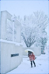 IMG_91932.jpg