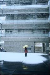 IMG_91994.jpg