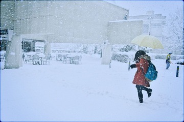 IMG_92012.jpg