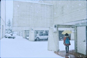 IMG_92042.jpg