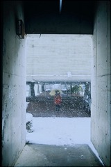 IMG_92052.jpg