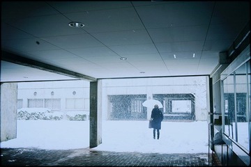IMG_92092.jpg