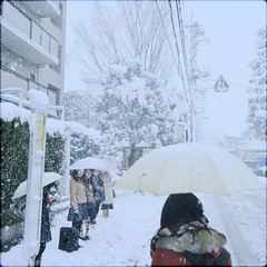 IMG_92352.jpg