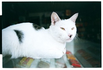 Scan-120905-00742.jpg
