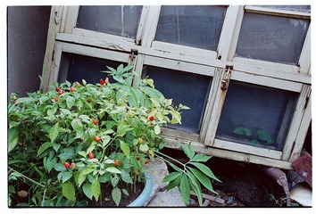 Scan-120905-00462.jpg