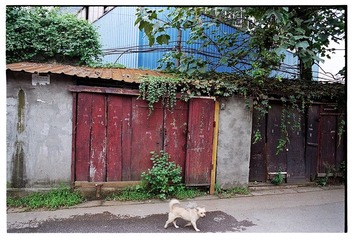 Scan-120905-00662.jpg