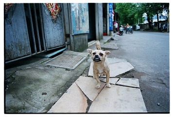 Scan-120905-00692.jpg