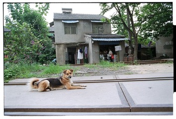 Scan-120905-00982.jpg