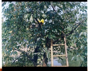 Scan-121002-00432.jpg