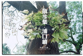 Scan-121002-00123.jpg