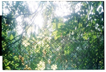 Scan-121007-00322.jpg