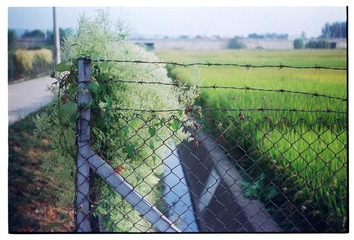 Scan-121007-00492.jpg