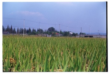 Scan-121007-00522.jpg