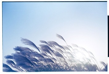 Scan-121105-00202.jpg