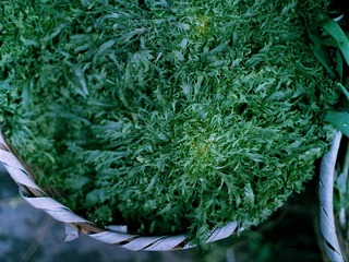 Scan-130108-00132.jpg