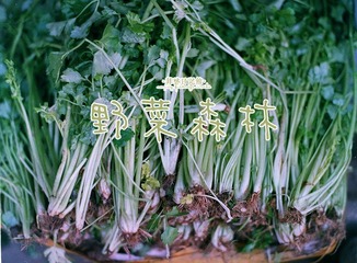 Scan-130108-00043.jpg
