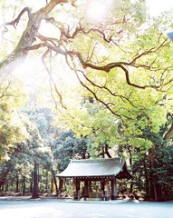 Scan-120306-00302.jpg