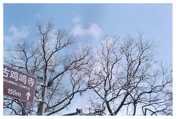 Scan-130221-00362.jpg