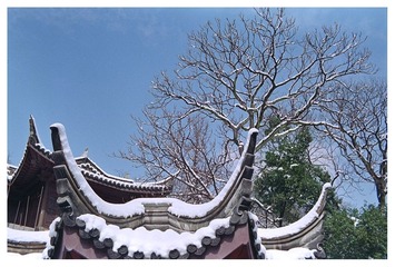 Scan-130221-00372.jpg