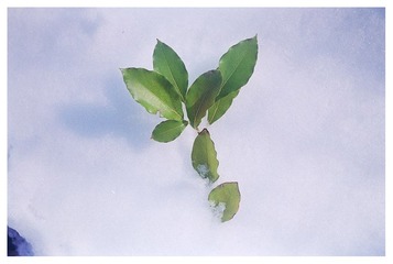 Scan-130222-00052.jpg